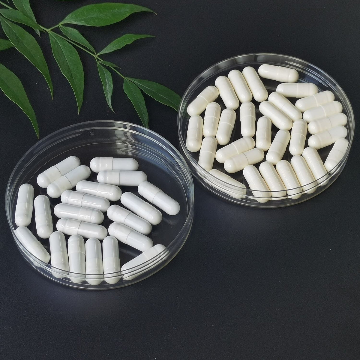 Cápsulas Sciatia Vitaminas B2, B6, B9, B12 – Fórmula para Nervio Ciático